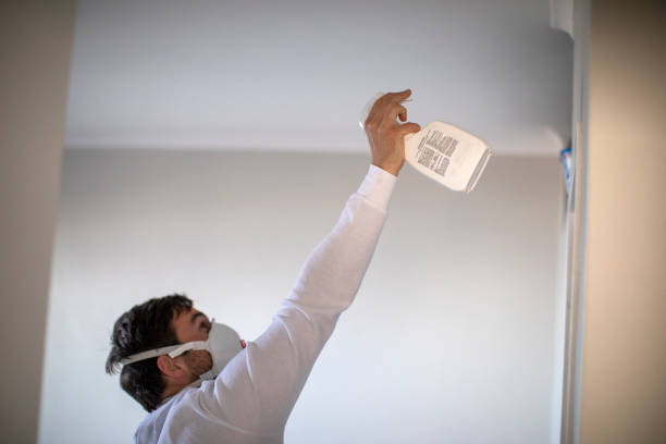 Crawl Space Mold Removal in Polk City, FL