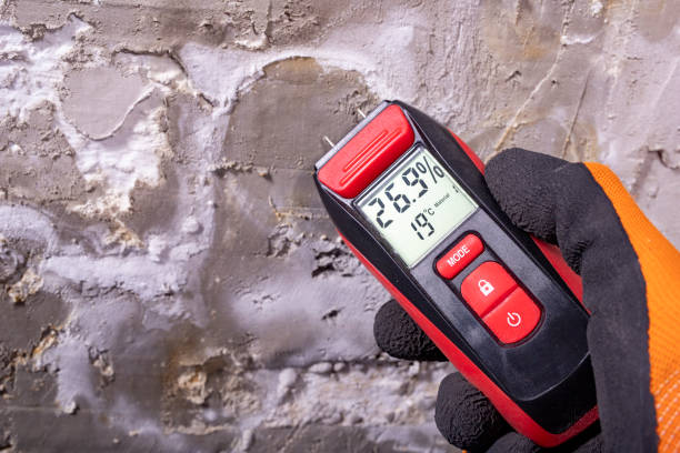 Best Mold Cleaning Services  in Polk City, FL